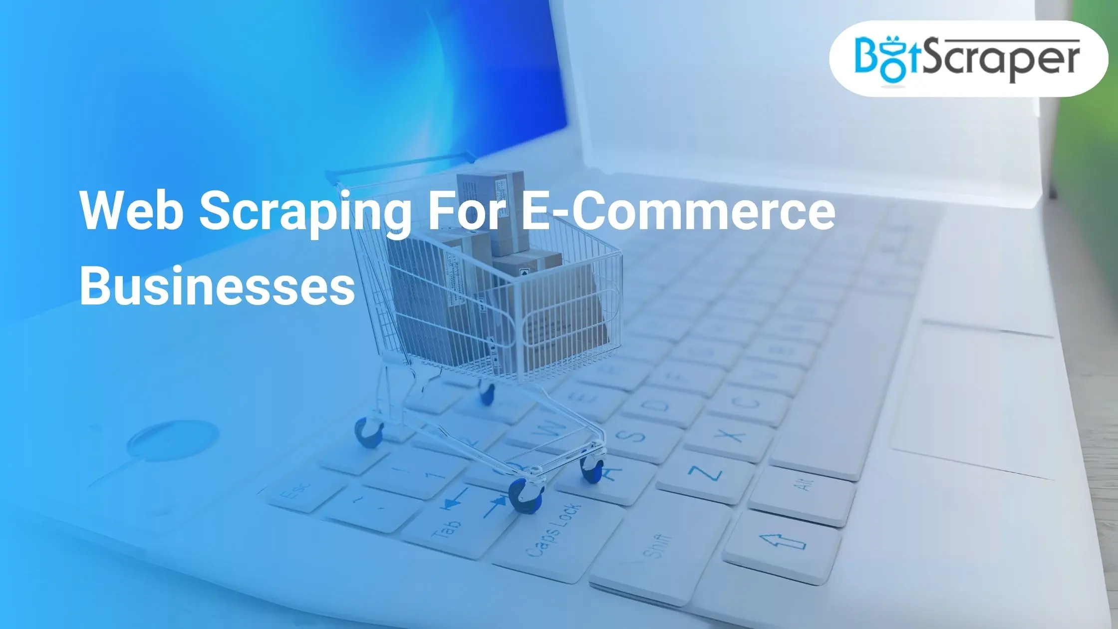 E-Commerce Businesses